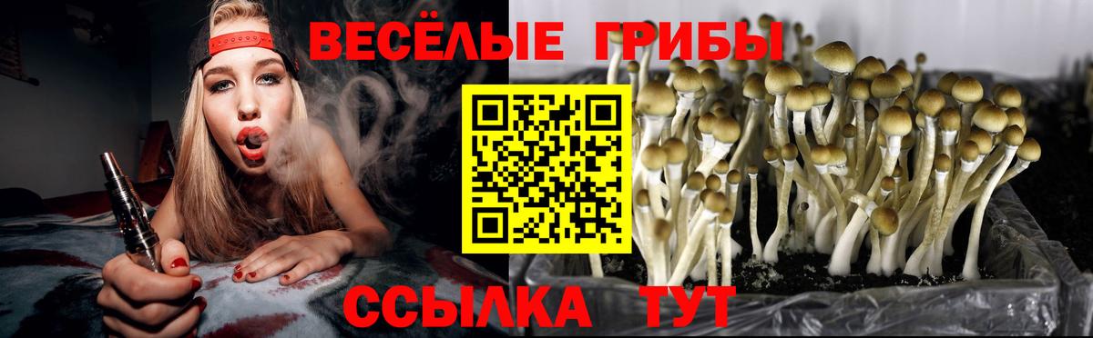 Сосновый Бор  магазин    Вход с VPN  Галлюциногенные грибы мицелий 