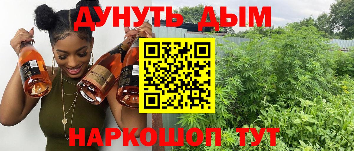 Сосновый Бор  Конопля Ganja  Конопля марихуана  Вход с VPN 
