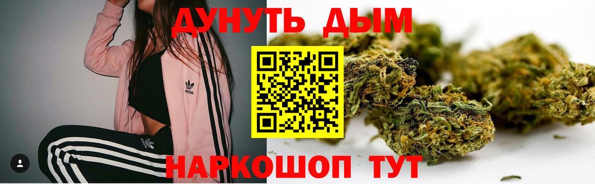 Марихуана планчик Сосновый Бор